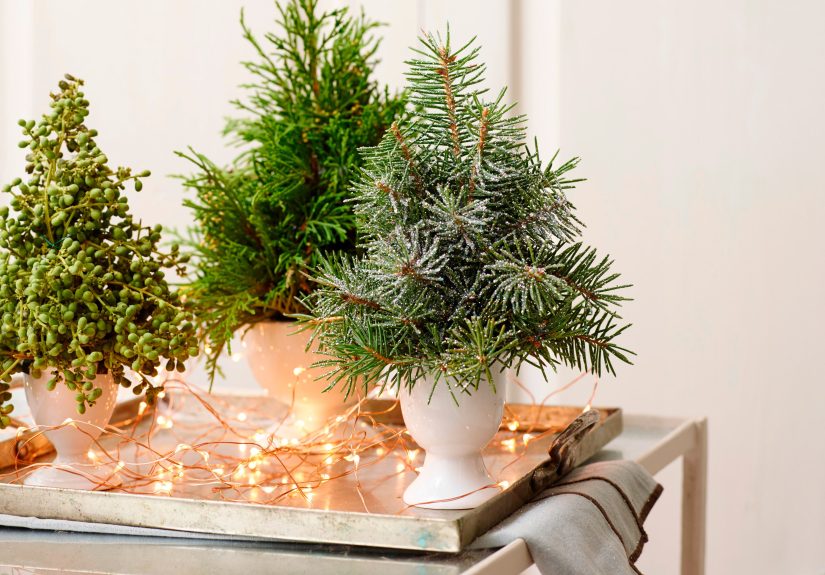 Holiday Greenery by LongevityHere’s What Actually Lasts