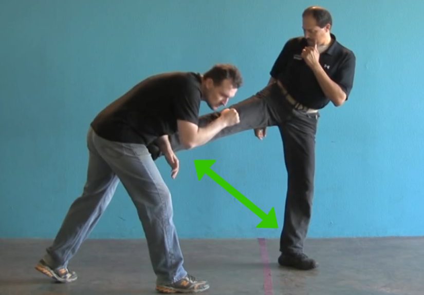 How to Go Into a Jeet Kune Do Stance