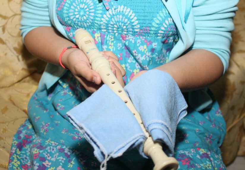 How to Play "Mary Had a Little Lamb" on the Recorder: 7 Steps