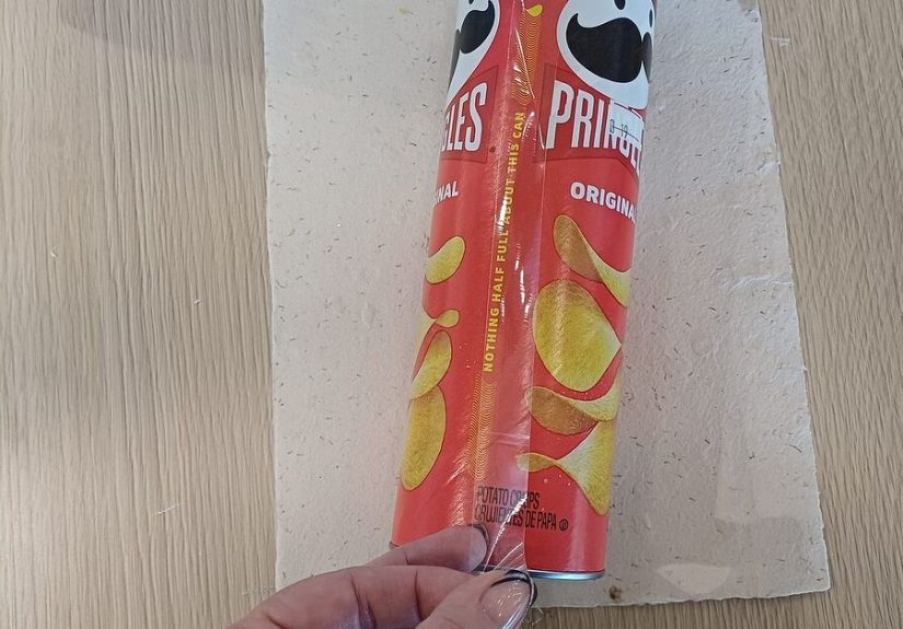 How to Recycle a Pringles Can Into Something Surprisingly Useful!