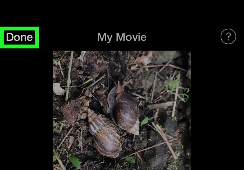 How to Remove Sound from an iPhone Video: 2 Easy Methods