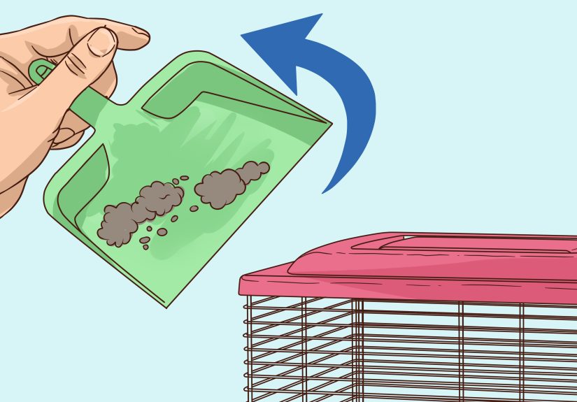 How to Treat Diarrhea in Hamsters: 8 Steps