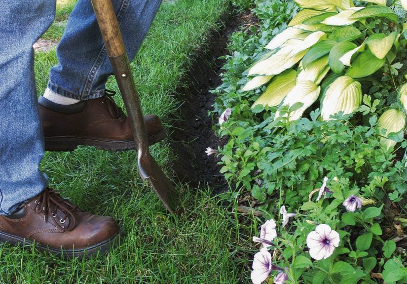 Landscape Edging: How To Use Natural Mulch