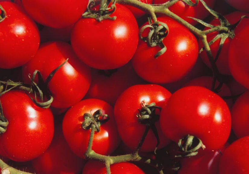 Major Tomato Recall Now Classified As Deadly, According to FDA
