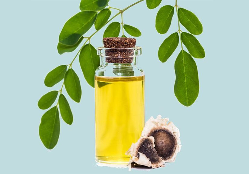 Moringa Oil Uses and Benefits