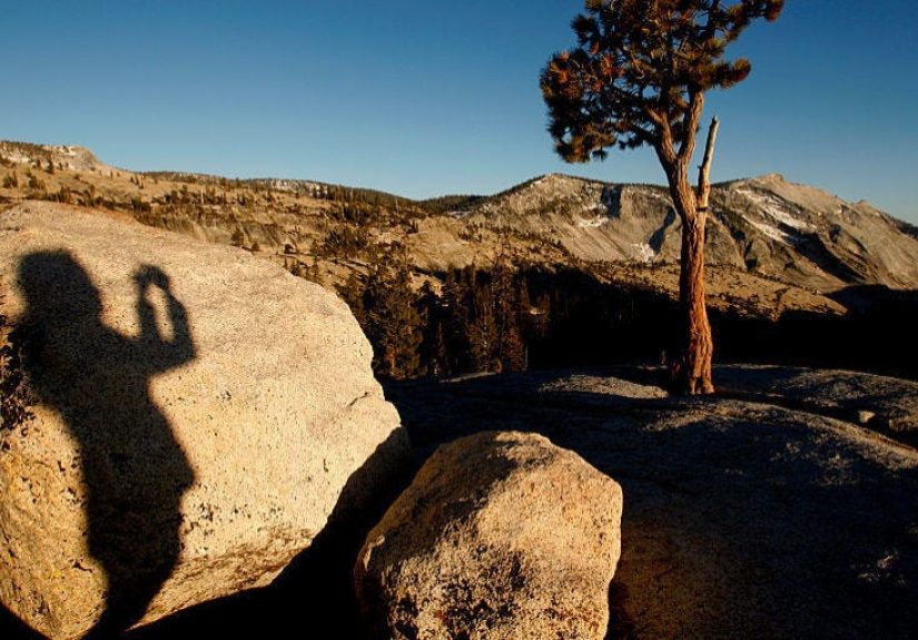 Reddit Users Help Track Down National Park Vandal