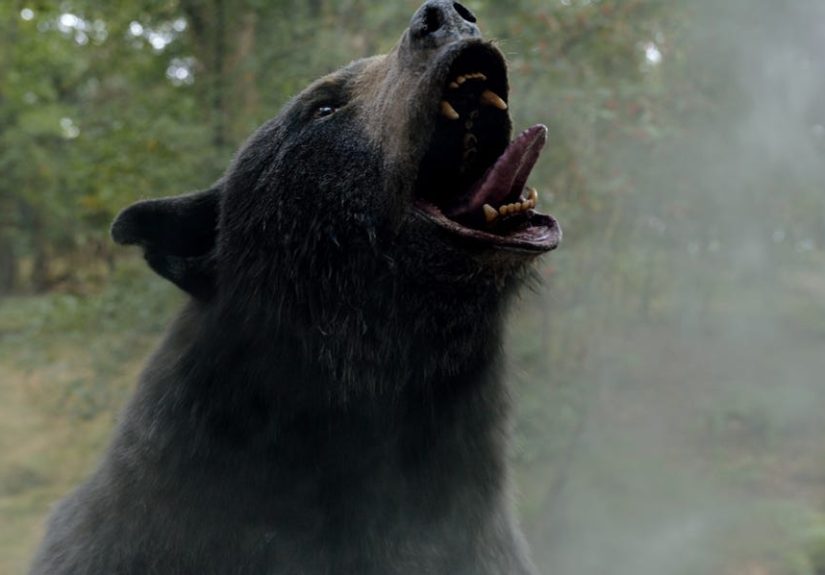 The Wild True Story Behind the &ldquo;Cocaine Bear&rdquo; Drug Smuggler