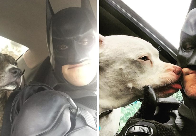 This Guy Dresses Up As Batman To Save Shelter Animals From Euthanasia And Find Them Loving Families