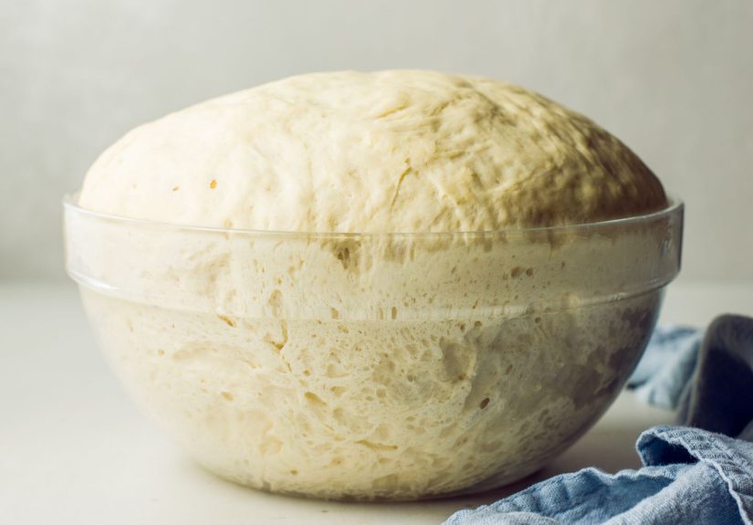 What Is Yeast?